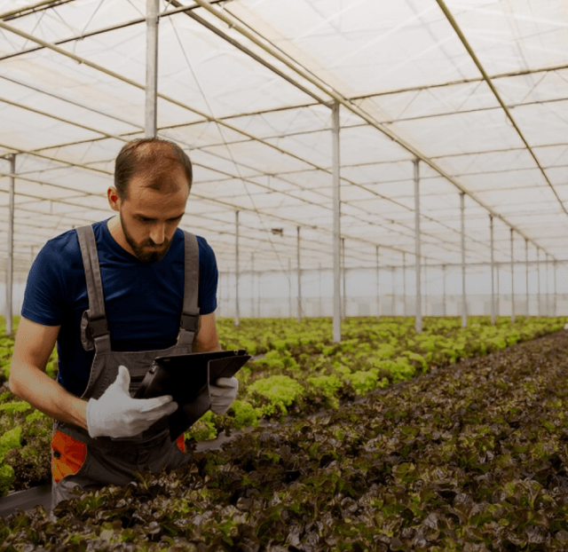 Grow with our Expert Partnerships