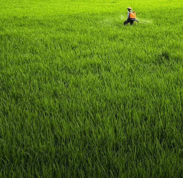 Your own dream farm- Across India